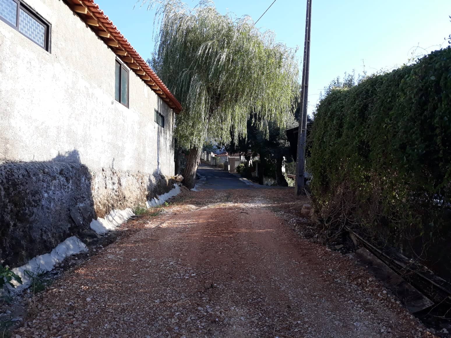 rfpedra7