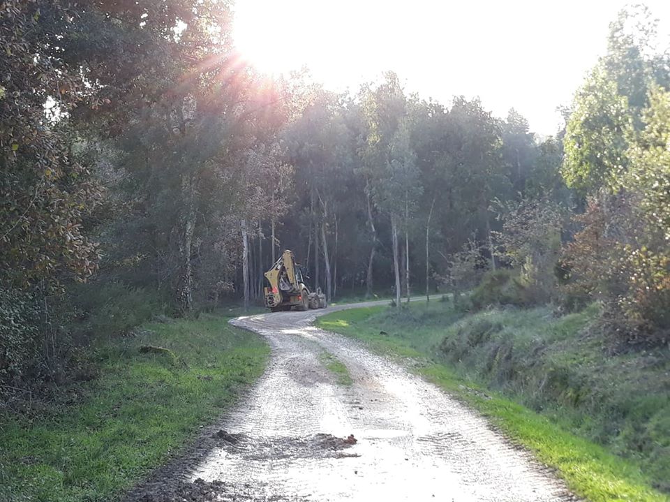 ruasmeneixas 38