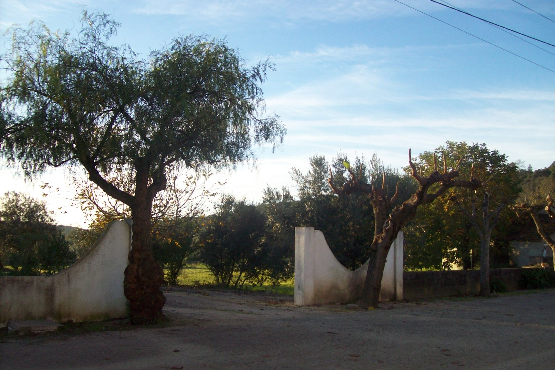 poda3