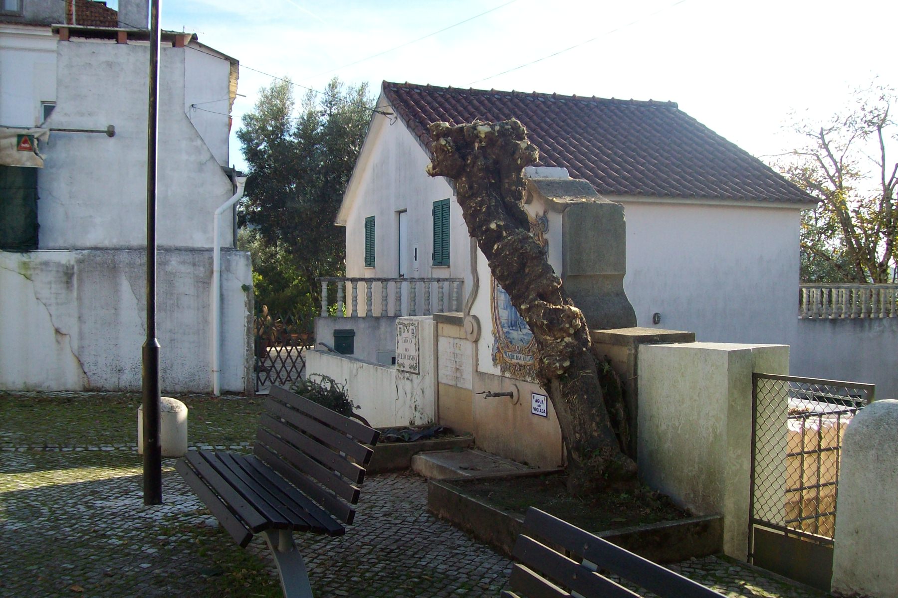 poda5
