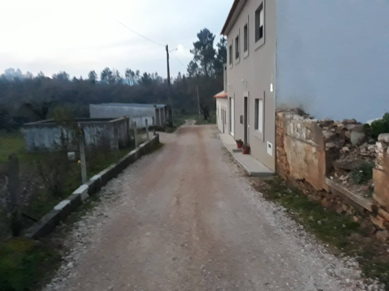 tgodinho2