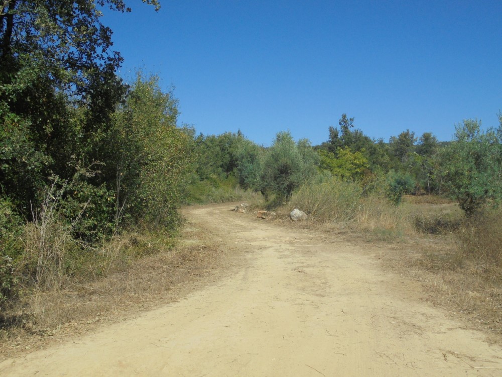 ruaribeira 1