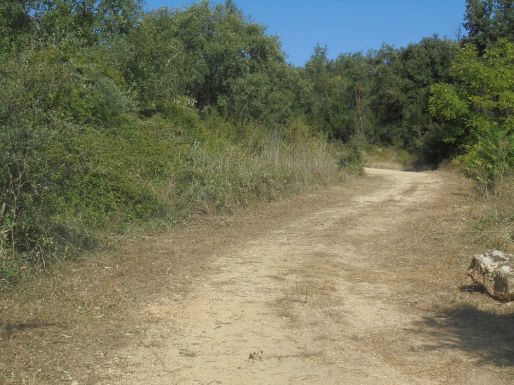 ruaribeira 2