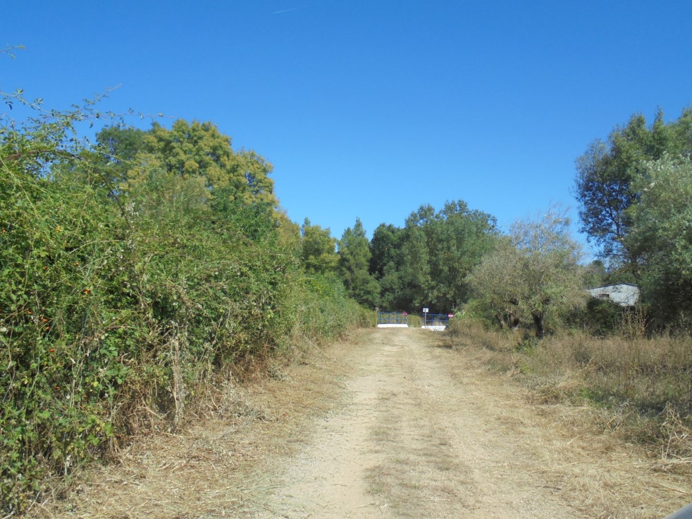 ruaribeira 5