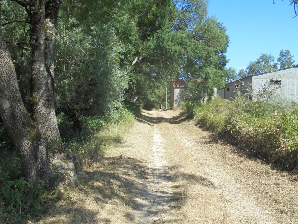 ruaribeira 9