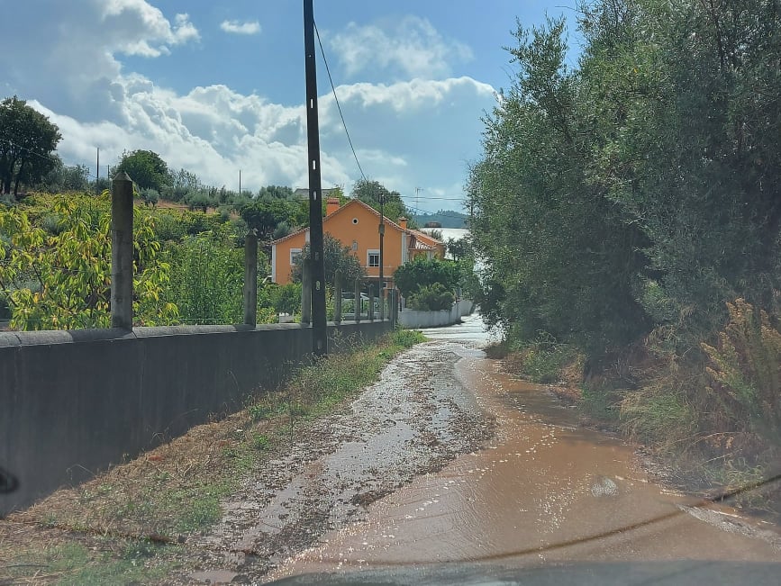 rcsamaro 15