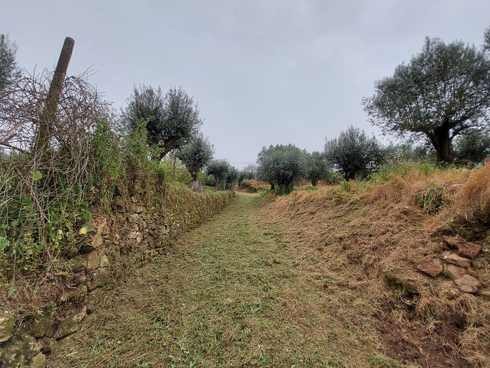cpelourinho 5